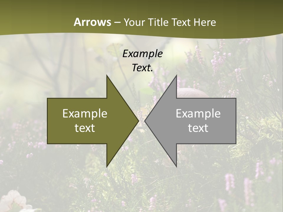 Outdoors Heather Forest PowerPoint Template