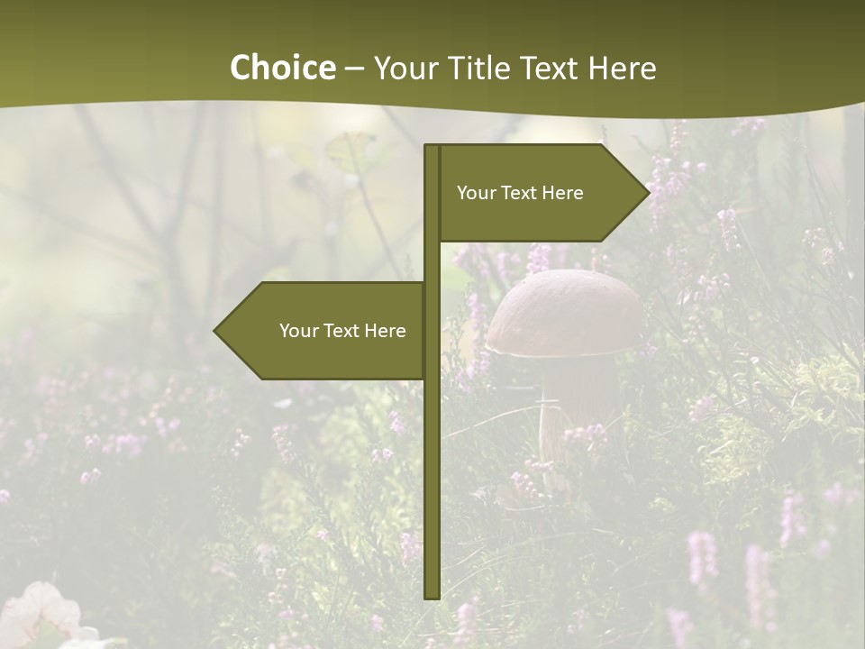 Outdoors Heather Forest PowerPoint Template