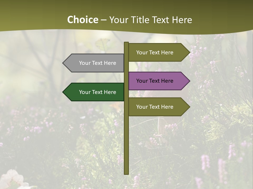 Outdoors Heather Forest PowerPoint Template