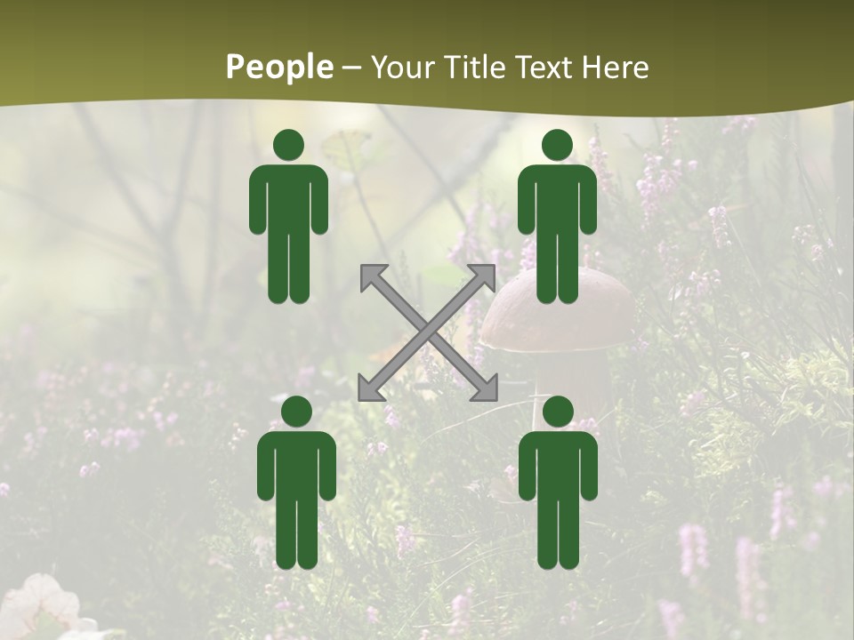 Outdoors Heather Forest PowerPoint Template