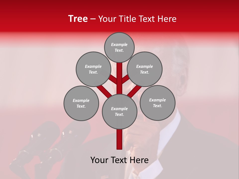 Democrat Mcbh Joseph Biden PowerPoint Template