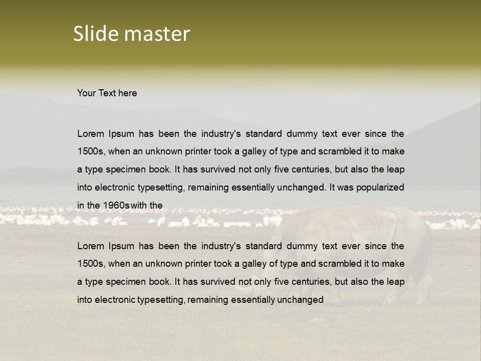 Rhinoceros Lake Nakuru Africa PowerPoint Template