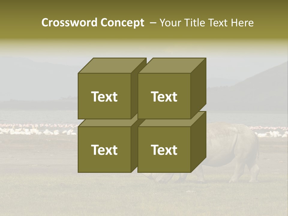 Rhinoceros Lake Nakuru Africa PowerPoint Template