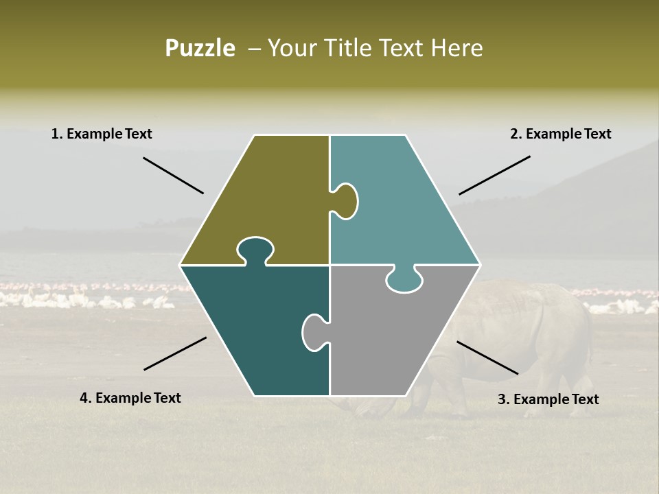 Rhinoceros Lake Nakuru Africa PowerPoint Template