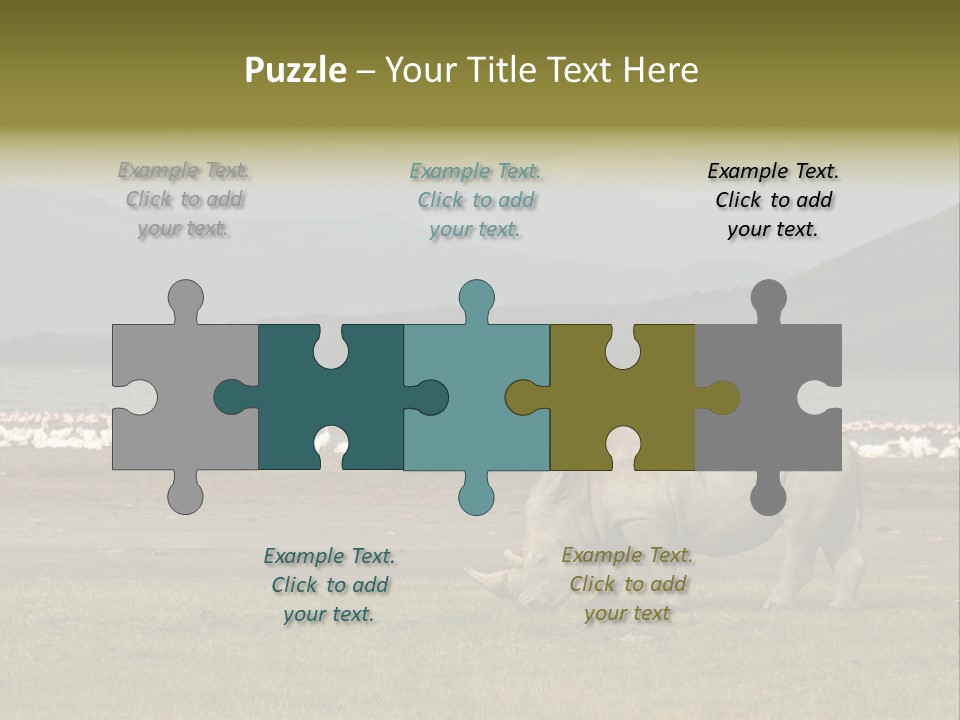 Rhinoceros Lake Nakuru Africa PowerPoint Template