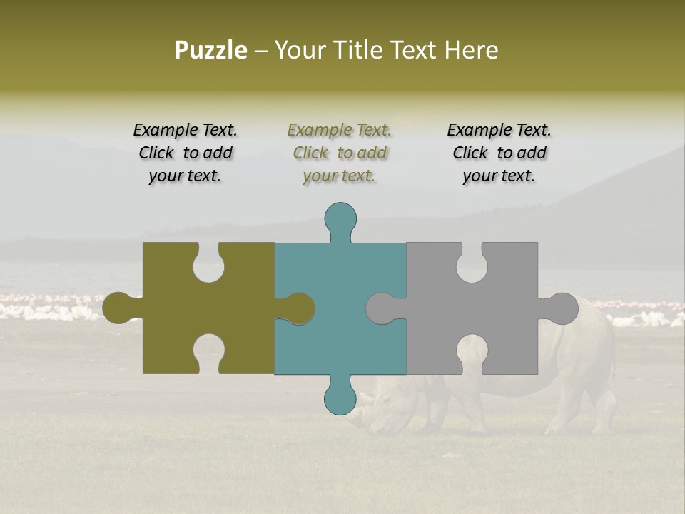 Rhinoceros Lake Nakuru Africa PowerPoint Template