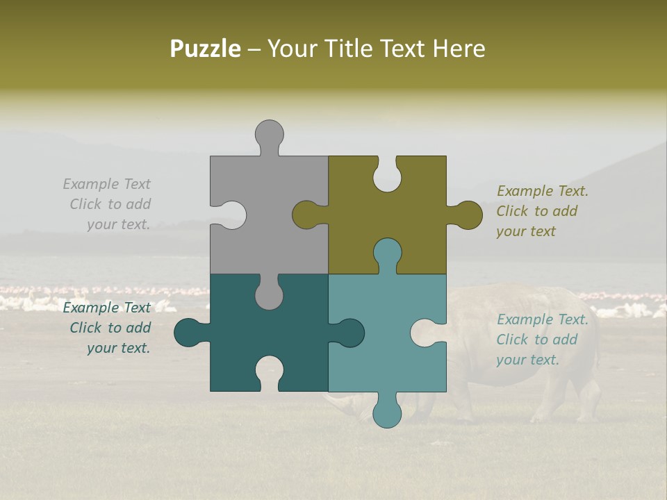 Rhinoceros Lake Nakuru Africa PowerPoint Template