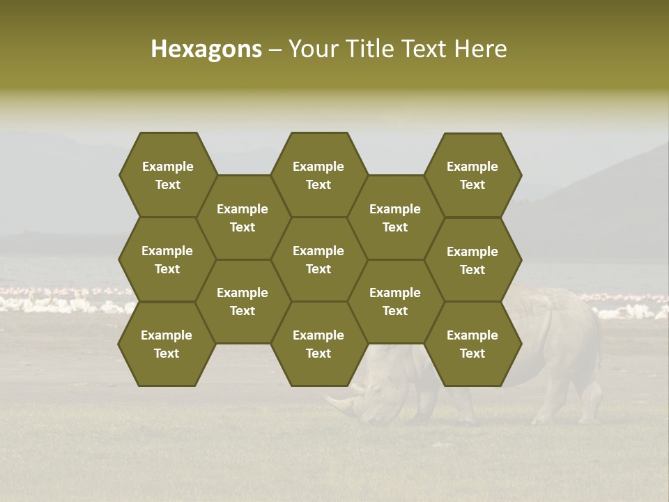 Rhinoceros Lake Nakuru Africa PowerPoint Template