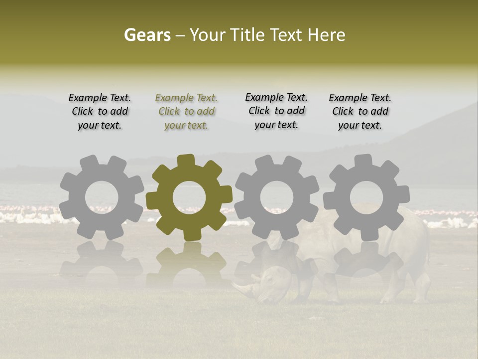 Rhinoceros Lake Nakuru Africa PowerPoint Template