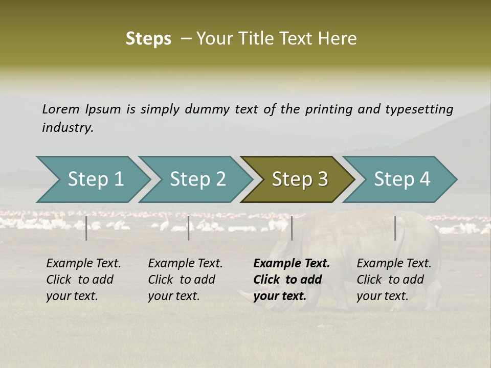 Rhinoceros Lake Nakuru Africa PowerPoint Template