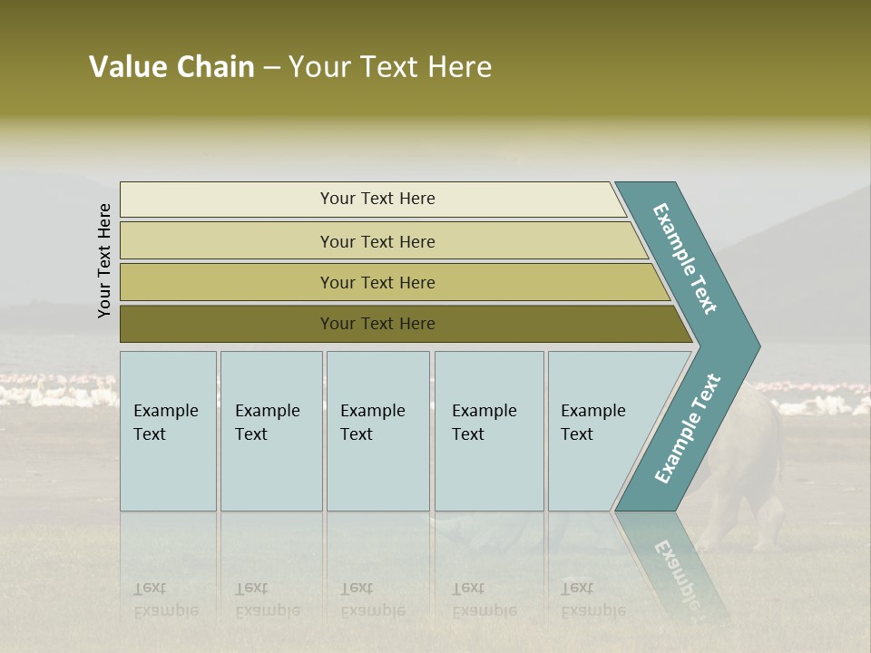 Rhinoceros Lake Nakuru Africa PowerPoint Template