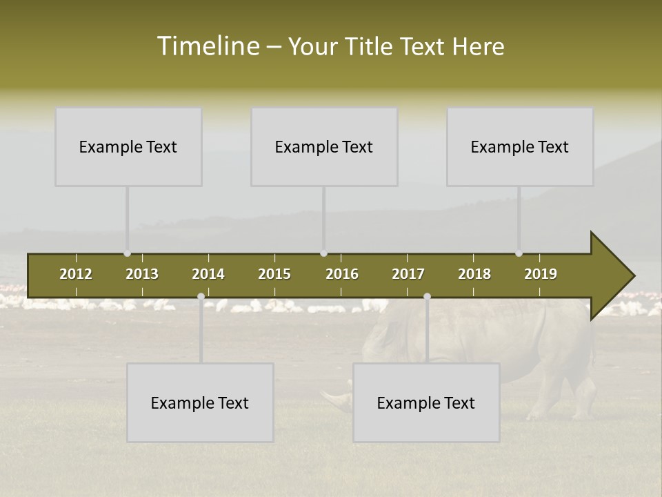 Rhinoceros Lake Nakuru Africa PowerPoint Template