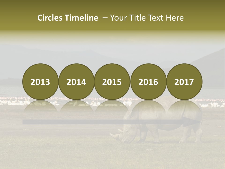 Rhinoceros Lake Nakuru Africa PowerPoint Template