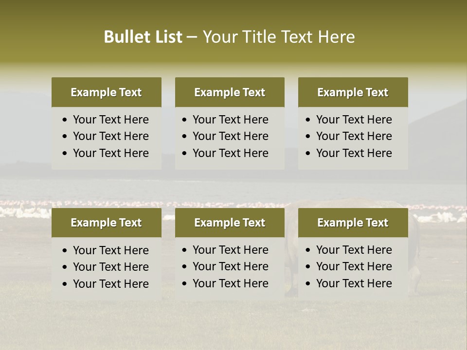 Rhinoceros Lake Nakuru Africa PowerPoint Template