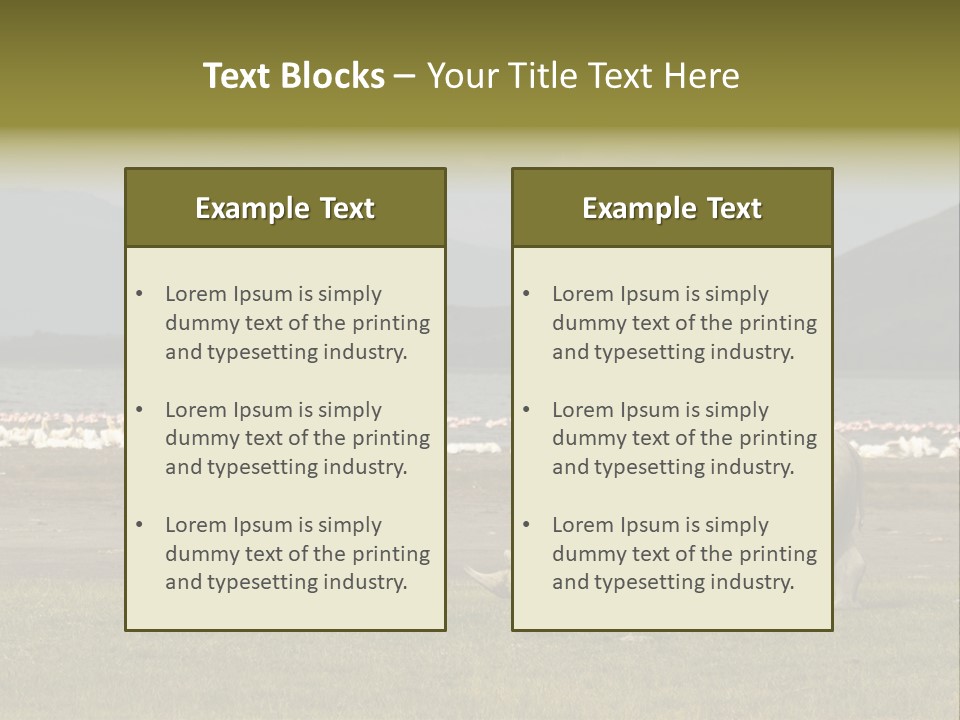 Rhinoceros Lake Nakuru Africa PowerPoint Template