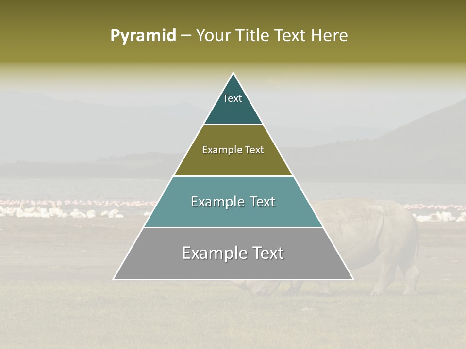 Rhinoceros Lake Nakuru Africa PowerPoint Template