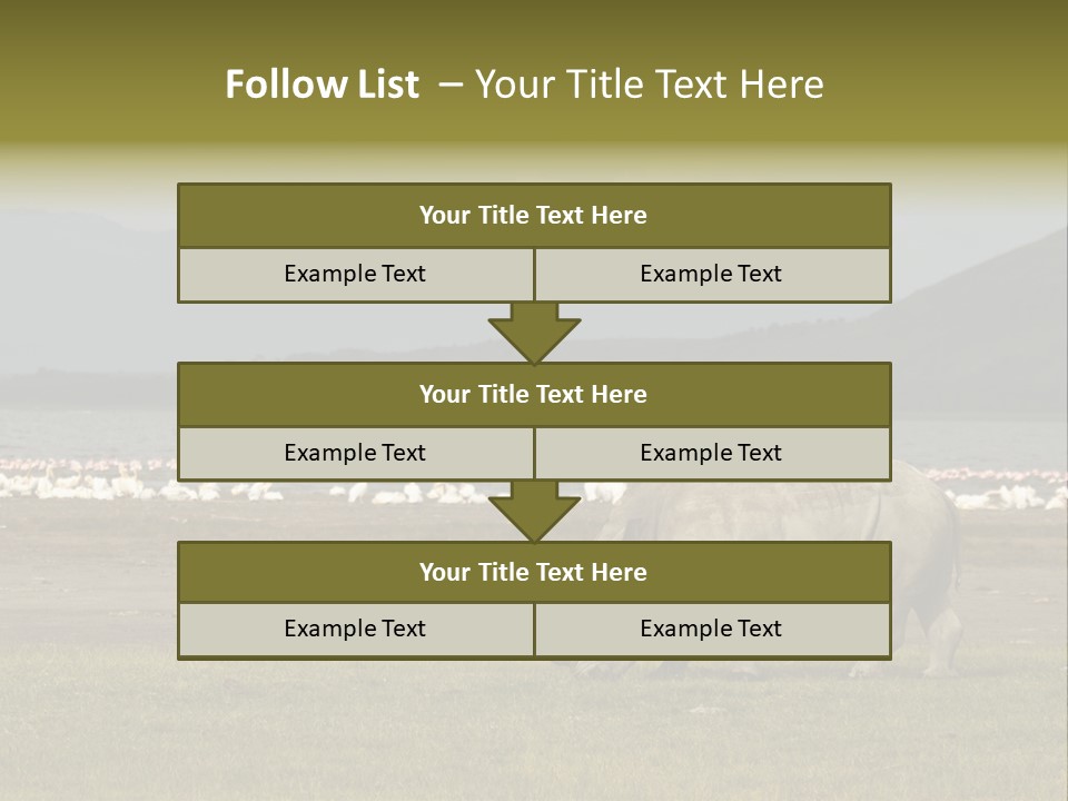 Rhinoceros Lake Nakuru Africa PowerPoint Template