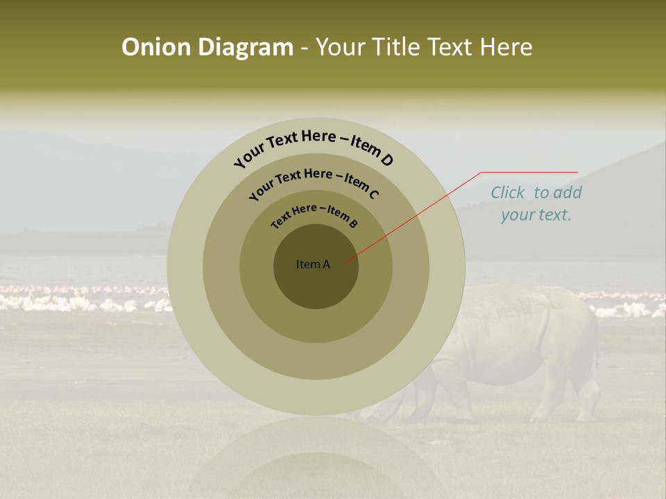 Rhinoceros Lake Nakuru Africa PowerPoint Template