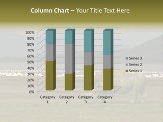 Rhinoceros Lake Nakuru Africa PowerPoint Template