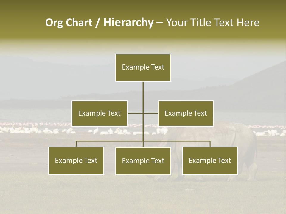 Rhinoceros Lake Nakuru Africa PowerPoint Template