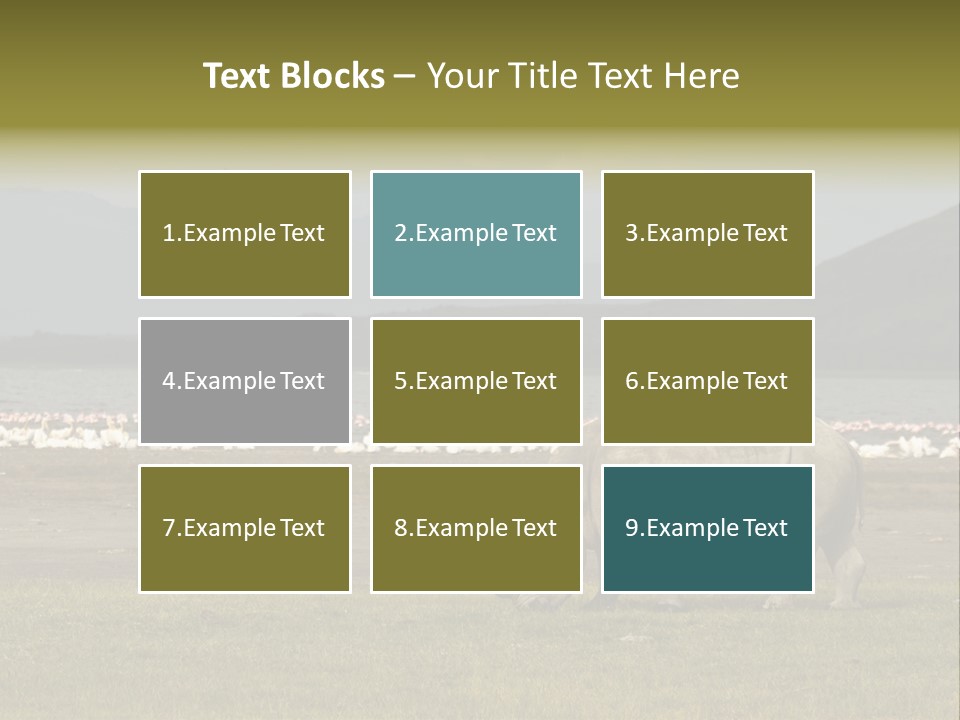 Rhinoceros Lake Nakuru Africa PowerPoint Template