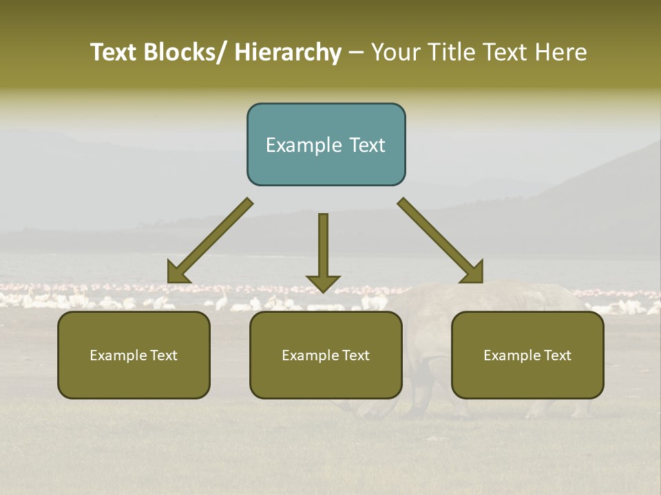 Rhinoceros Lake Nakuru Africa PowerPoint Template