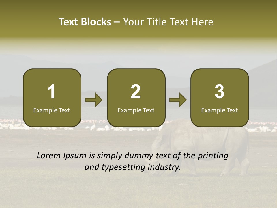 Rhinoceros Lake Nakuru Africa PowerPoint Template