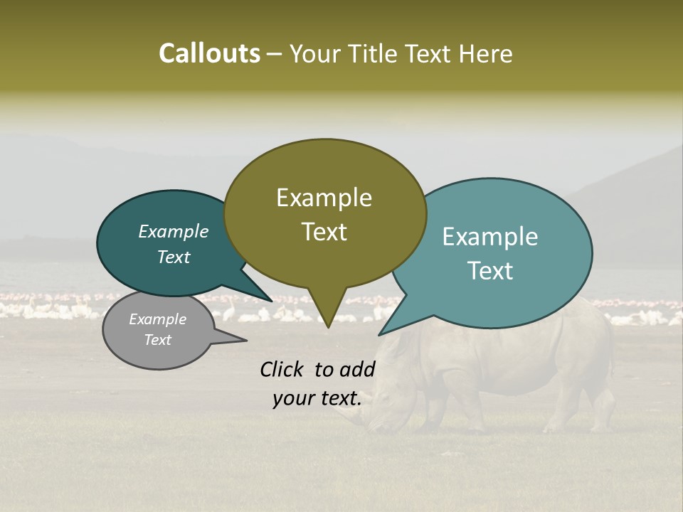 Rhinoceros Lake Nakuru Africa PowerPoint Template