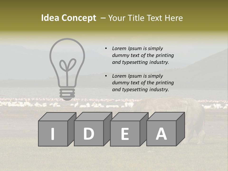 Rhinoceros Lake Nakuru Africa PowerPoint Template