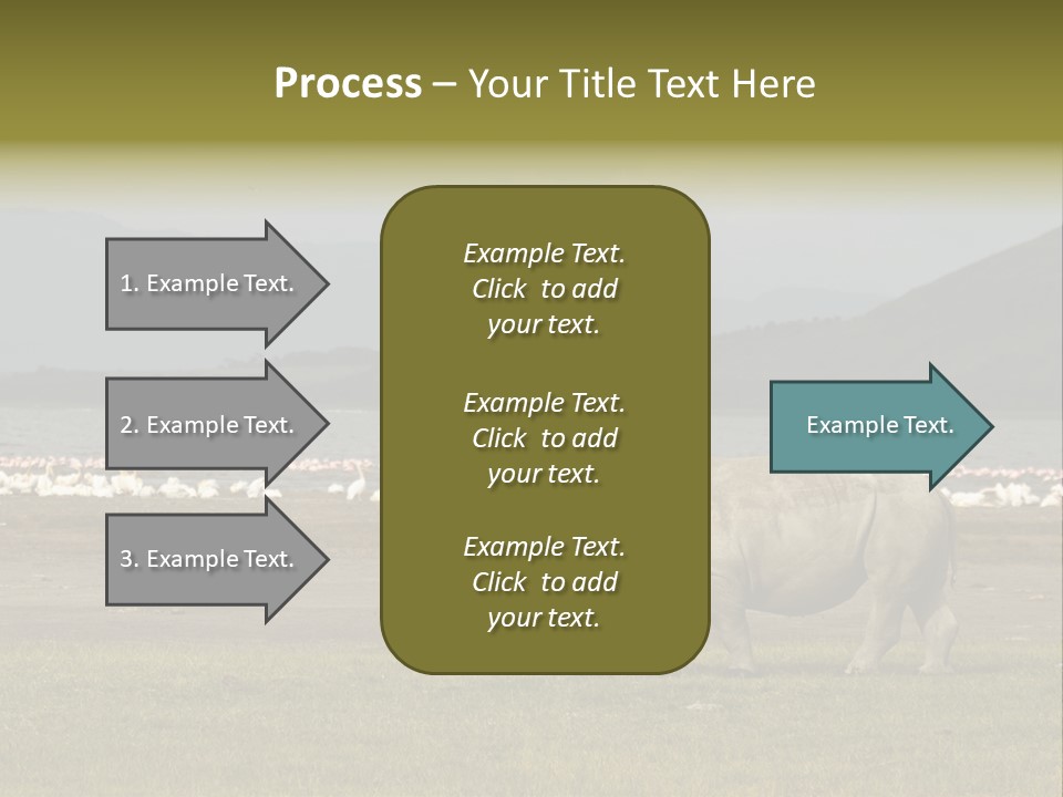 Rhinoceros Lake Nakuru Africa PowerPoint Template