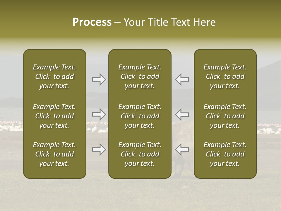 Rhinoceros Lake Nakuru Africa PowerPoint Template