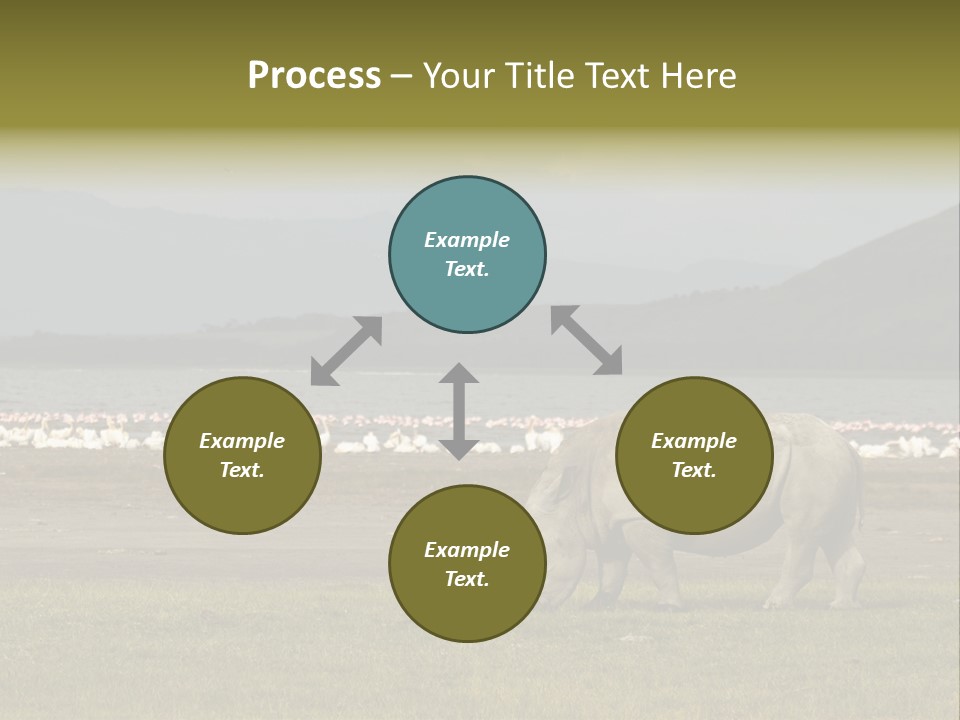 Rhinoceros Lake Nakuru Africa PowerPoint Template