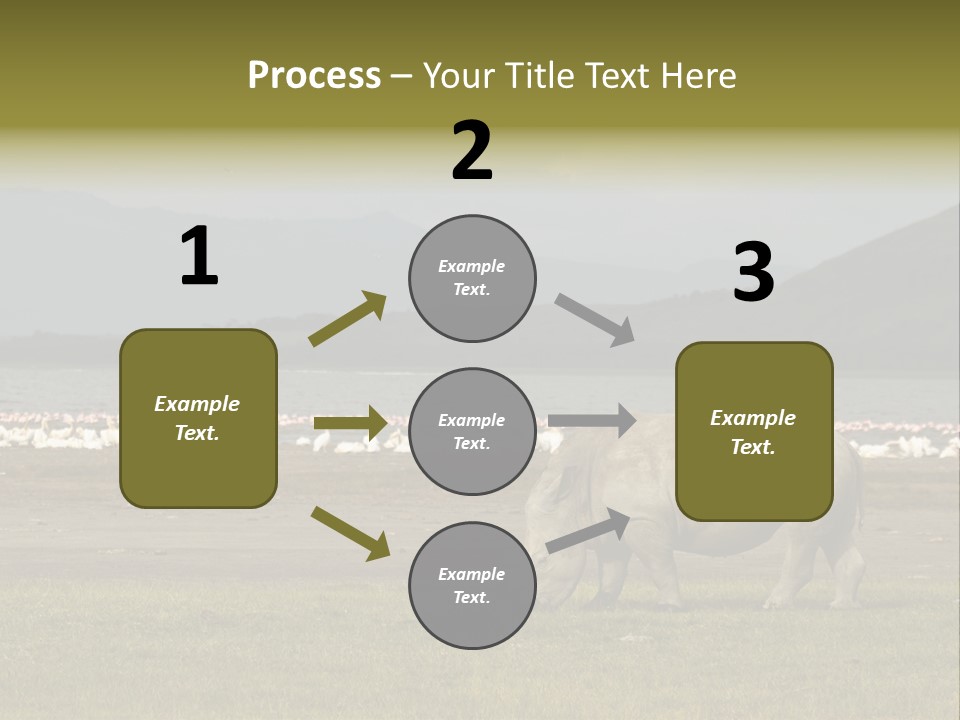 Rhinoceros Lake Nakuru Africa PowerPoint Template
