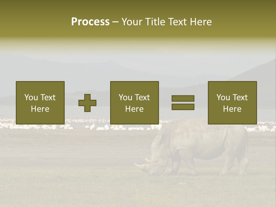 Rhinoceros Lake Nakuru Africa PowerPoint Template