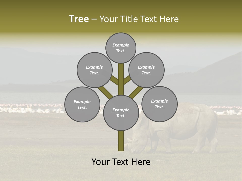Rhinoceros Lake Nakuru Africa PowerPoint Template