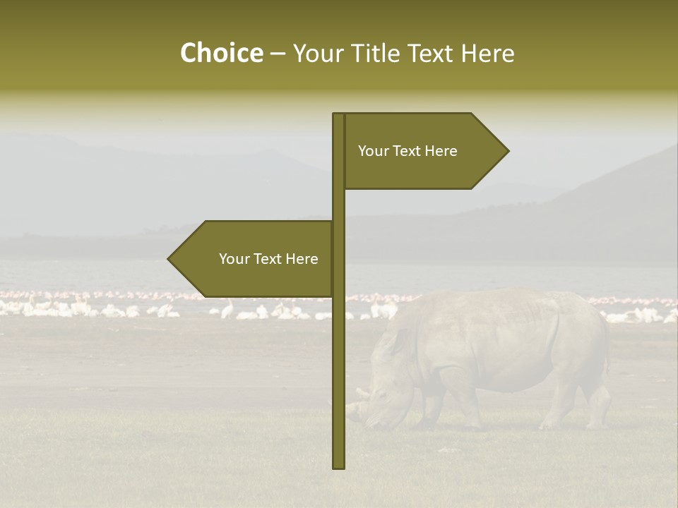 Rhinoceros Lake Nakuru Africa PowerPoint Template