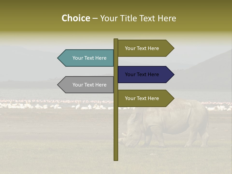 Rhinoceros Lake Nakuru Africa PowerPoint Template