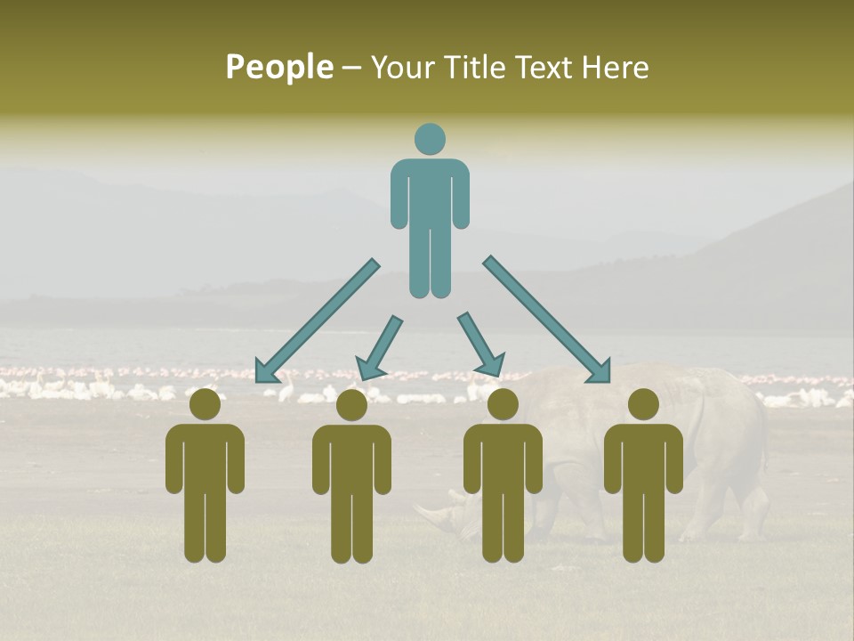 Rhinoceros Lake Nakuru Africa PowerPoint Template