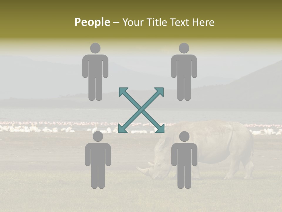 Rhinoceros Lake Nakuru Africa PowerPoint Template