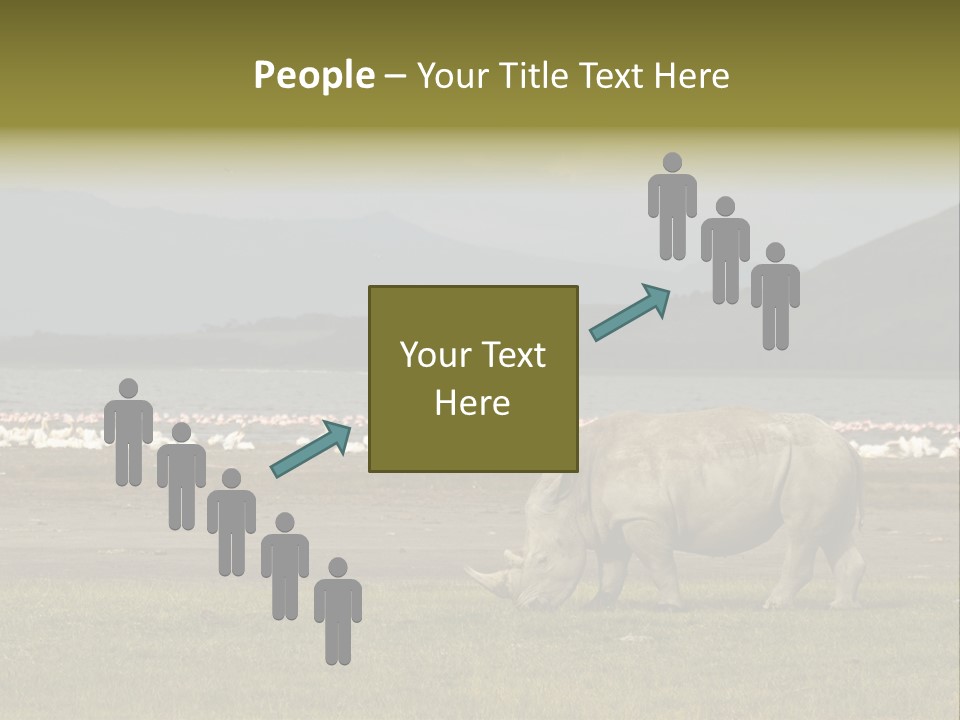 Rhinoceros Lake Nakuru Africa PowerPoint Template