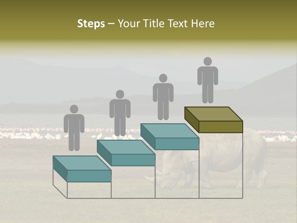 Rhinoceros Lake Nakuru Africa PowerPoint Template