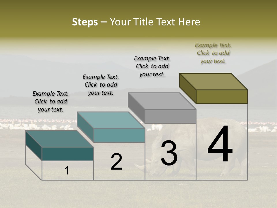 Rhinoceros Lake Nakuru Africa PowerPoint Template