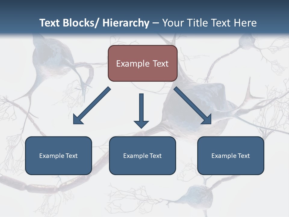 Dendrite Brain Biological PowerPoint Template