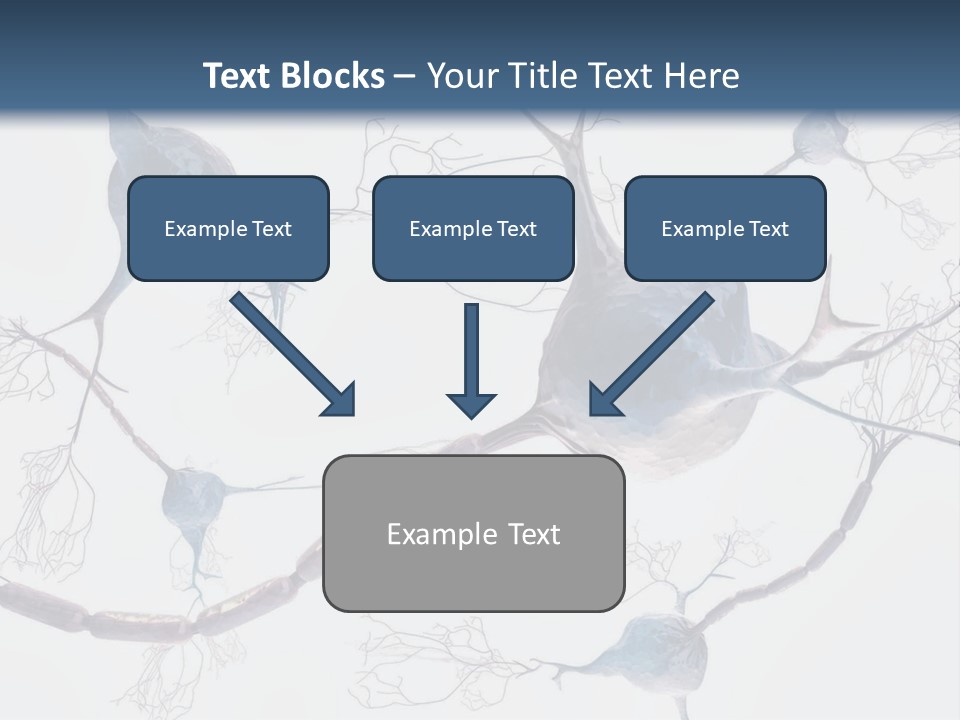 Dendrite Brain Biological PowerPoint Template