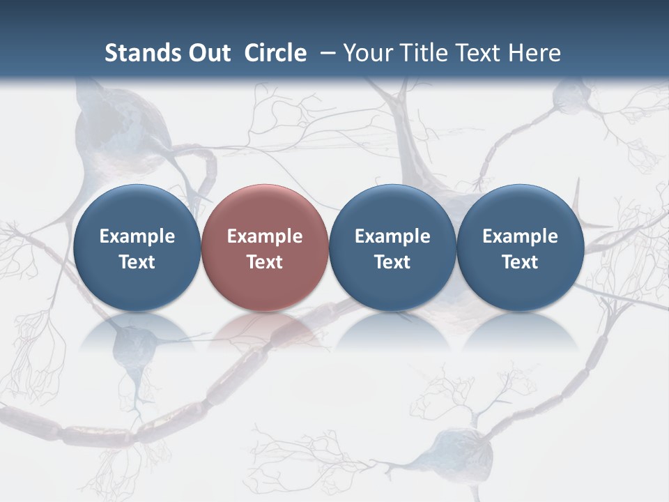 Dendrite Brain Biological PowerPoint Template