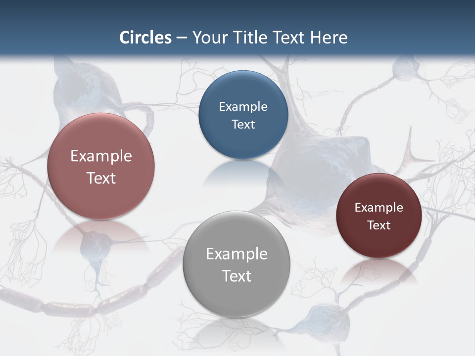 Dendrite Brain Biological PowerPoint Template