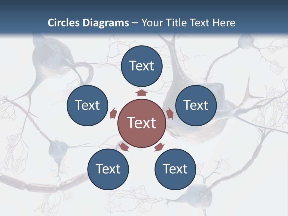Dendrite Brain Biological PowerPoint Template
