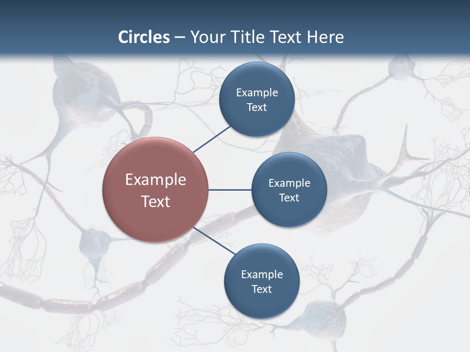 Dendrite Brain Biological PowerPoint Template