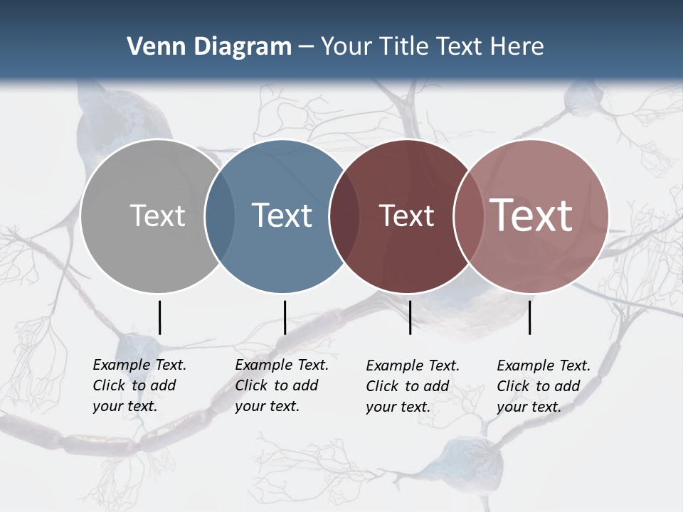 Dendrite Brain Biological PowerPoint Template
