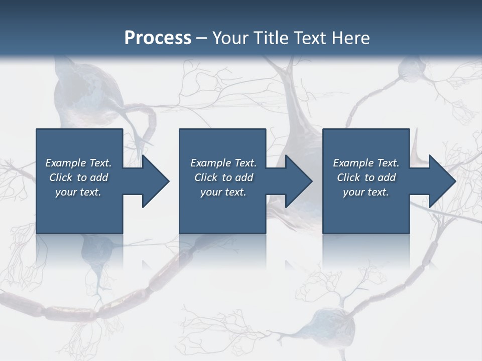 Dendrite Brain Biological PowerPoint Template